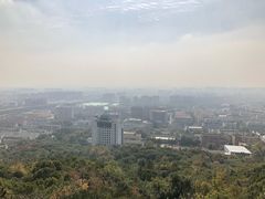 -杭州半山国家森林公园