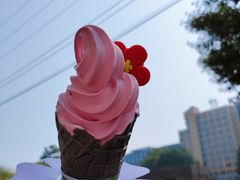 -麦当劳(花园北路店)