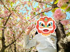 -幕燕滨江·长江观音景区