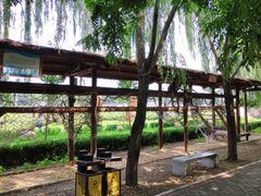 -河北村民俗体验园