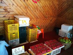 -侠成水上农庄(工业大道店)