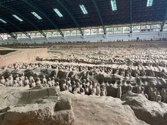 -秦始皇帝陵博物院(兵马俑)