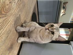 iphone_upload_pic-小时光咖啡馆(开森度假森林店)