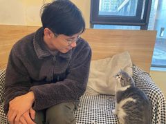 -滚猫咖啡·猫咖·猫友好撸猫(未来城店)