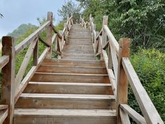 -大岭沟猕猴桃谷风景区