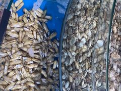 -蓝珊甄选海鲜自助·火锅大排档(近阿那亚店)
