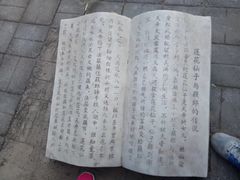 -莲花池公园