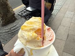 -红楼HONGLOU Gelato(淮海中路店)