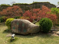 -嘉定紫藤园