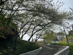 -杭州少年儿童公园
