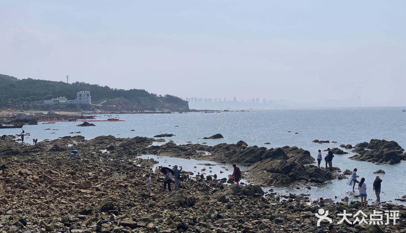 打卡✅抖音网红养马岛🌊🌊