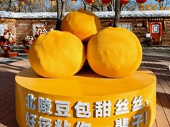 -北陵公园