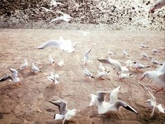 -老味道民宿(栈桥店)