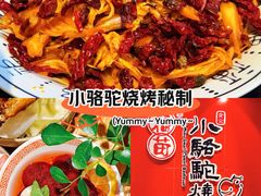 -福苗小骆驼烧烤(望京店)