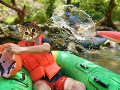 -雅鲁激流探险漂流