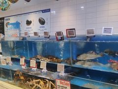 -T11生鲜超市(朝阳公园店)