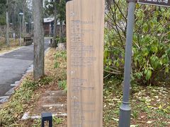 -四明山国家森林公园