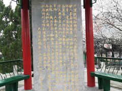 -桃花堤公园