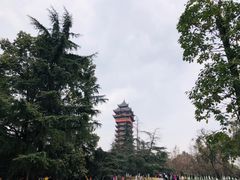 -塔子山公园