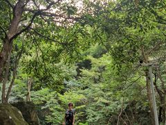 -太湖源风景区