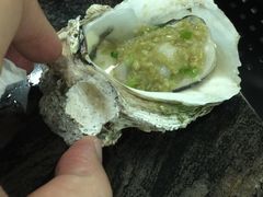 -蚝专家