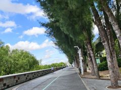 -宝安西湾红树林湿地公园