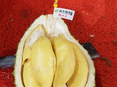 -都念榴莲·城市榴莲