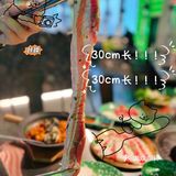 论魔都韩国烧肉店有多内卷❓OMG！30cm长的厚切熟成五花肉