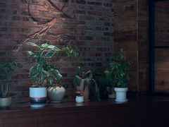 -幸邻食堂