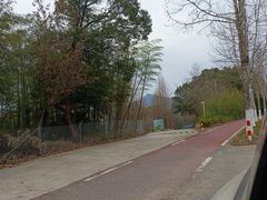 -莫干山风景区