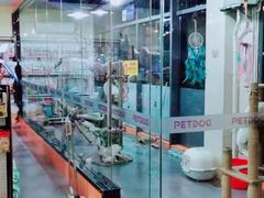 -牧马人宠物医院