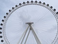 -南戴河国际娱乐中心