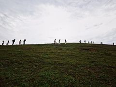 -大姆山草场