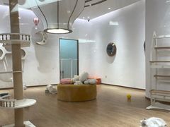 -1013 PET SHOP精品宠物商店(丁香店)