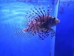 -常州海昌海洋探索馆