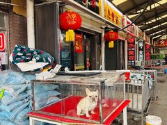 -中环花鸟鱼虫市场