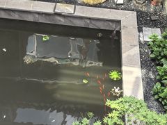 -映像威海·海鲜味道(市区店)