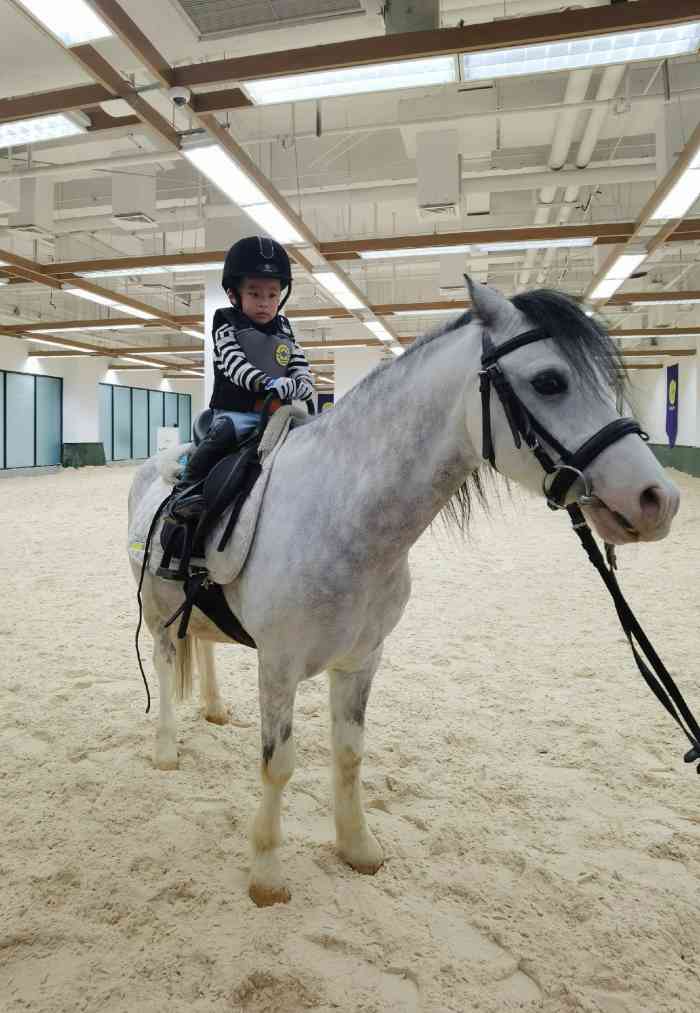 佳伯马术·击剑(天宁吾悦店)-"真的体验比较下来才发现专业讲解专业装