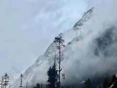 -白马王朗自然风景区