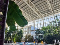 -中家鑫园温泉酒店鑫悦汤泉