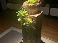 -尚荣堂(高丰家园店)