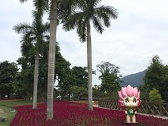 -广州市流溪河国家森林公园