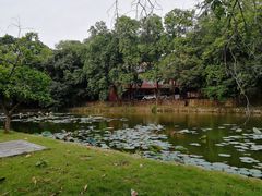 -五邑大学