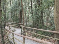 -五泄景区
