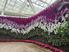 -石家庄市植物园