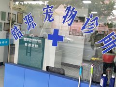 -艾吉宠物医院·疑难杂症转诊中心·猫友好(碧江路院)