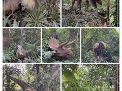 -广州长隆野生动物世界