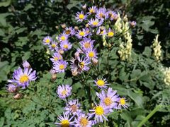 -白草畔自然风景区