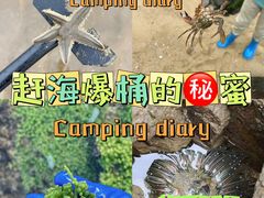 -巧克力渔家.小船海鲜胶东菜(万平口店)