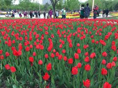 -长春公园(普阳街道)